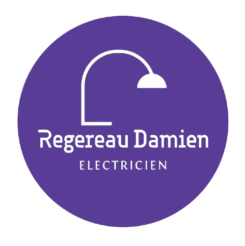 REGEREAU DAMIEN